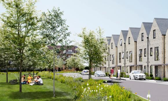 Plot 2 - The Oak