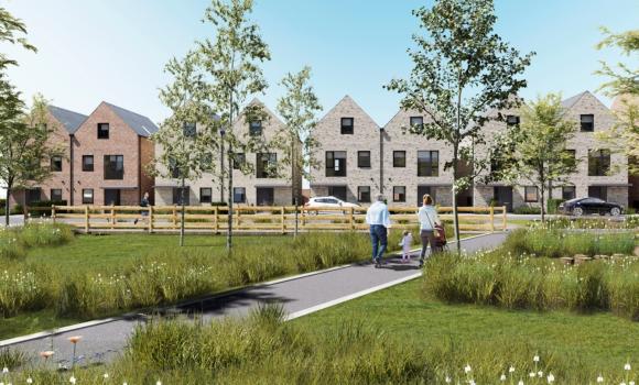 Plot 2 - The Oak