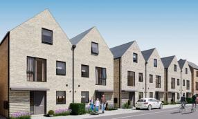 Plot 2 - The Oak