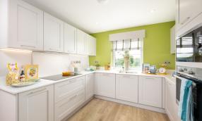 Audley Green Kitchen Spec close up