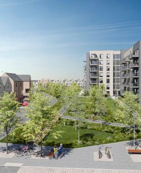 Plot 2 - The Oak