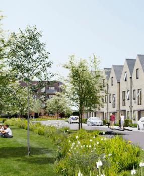 Plot 2 - The Oak