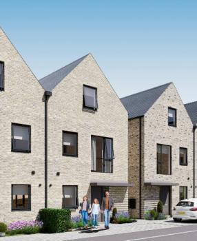 Plot 2 - The Oak