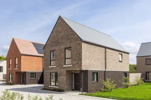 The Sycamore, Number 422