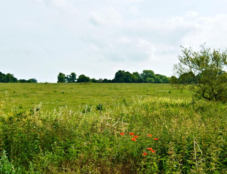 Green Field