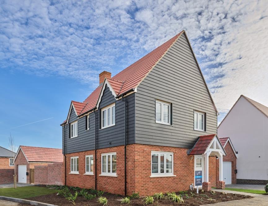 Plot 33 - The Forest