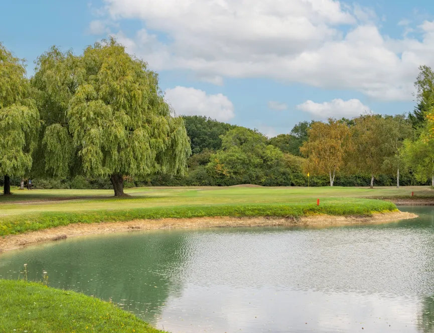 Stapleford Abbots - living