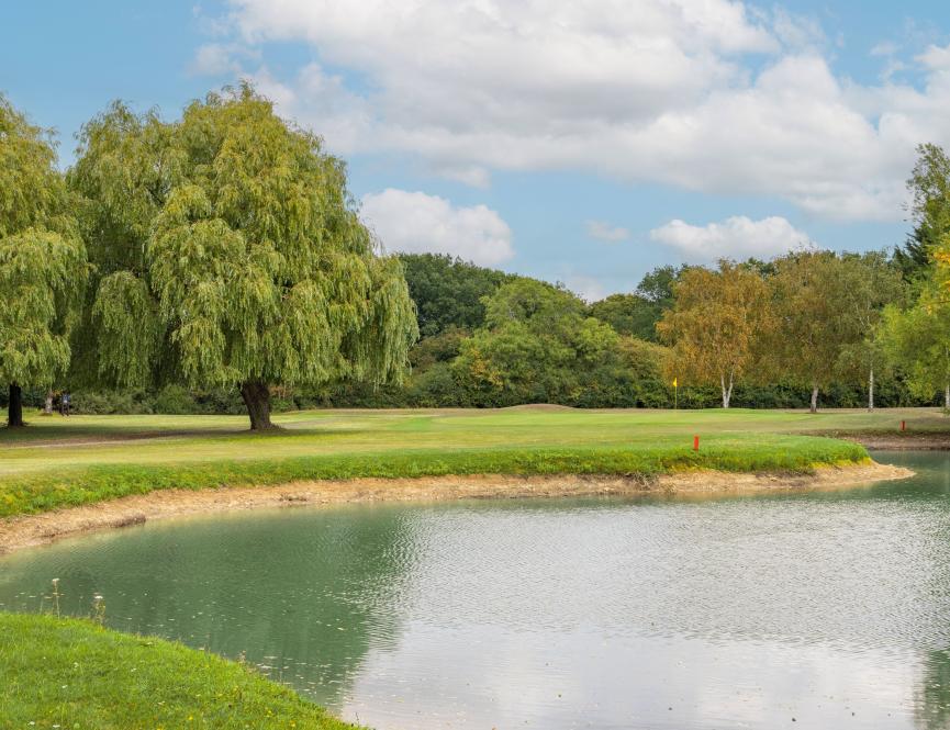 Stapleford Abbots - living