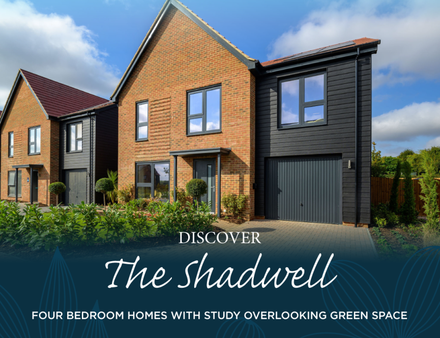 Hollymead Square - The Shadwell