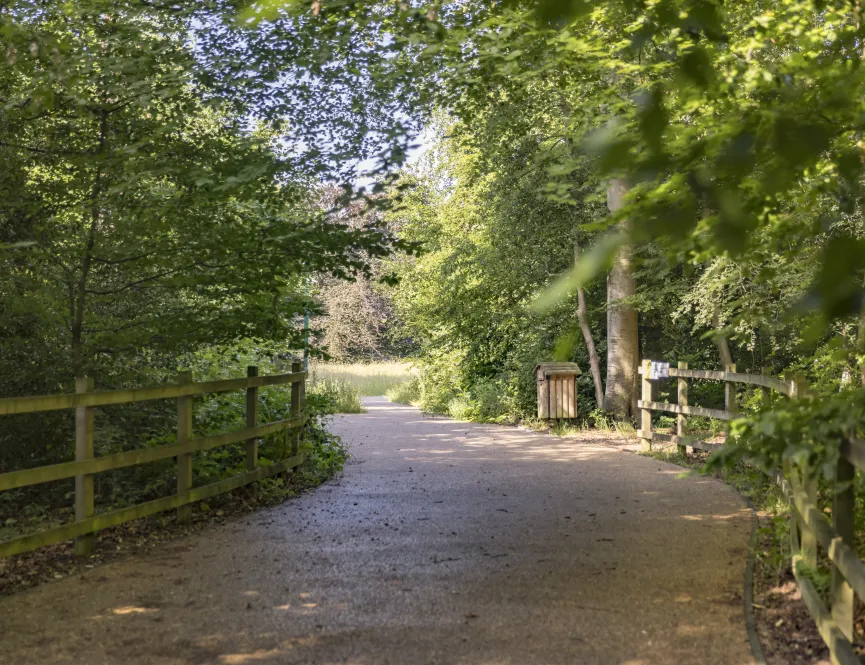 Little Chalfont nature