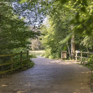 Little Chalfont nature